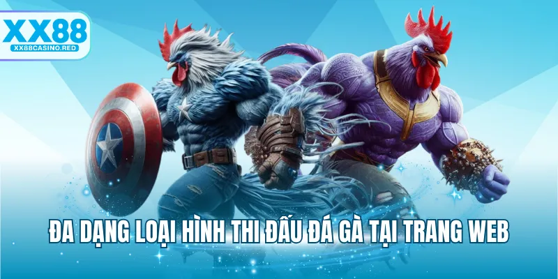 Đá gà XX88 5 Đa dạng loại hình thi đấu đá gà tại trang web
