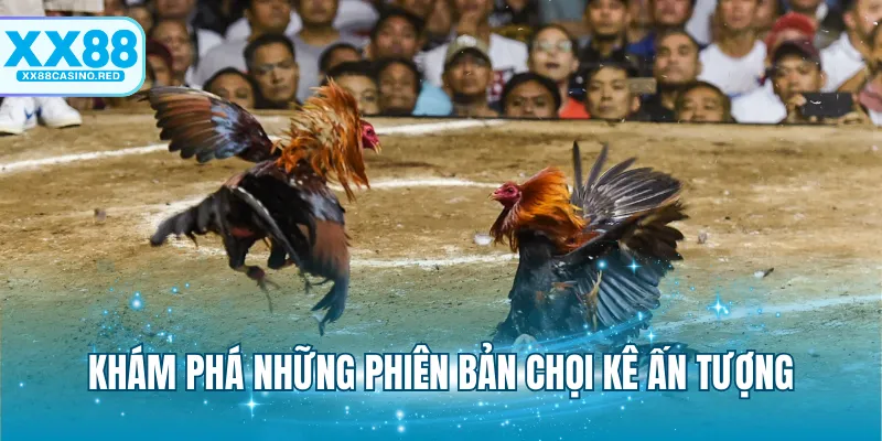 Đá Gà Trực Tiếp XX88 - Theo Dõi Chọi Kê Siêu Bùng Nổ 7 Khám phá những phiên bản chọi kê ấn tượng