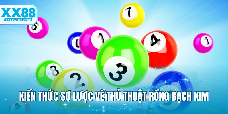Rồng Bạch Kim - Bí Kíp Tăng Khả Năng Thắng Đậm Lô Đề 5 Kiến thức sơ lược về thủ thuật Rồng bạch kim