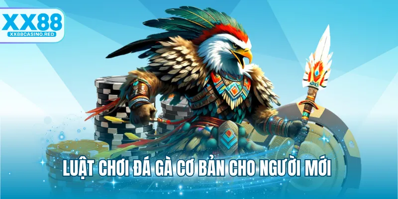 Đá Gà Online Và Những Kiểu Chơi Đá Gà Phổ Biến Hiện Nay 6 Luật chơi đá gà cơ bản cho người mới tại XX88