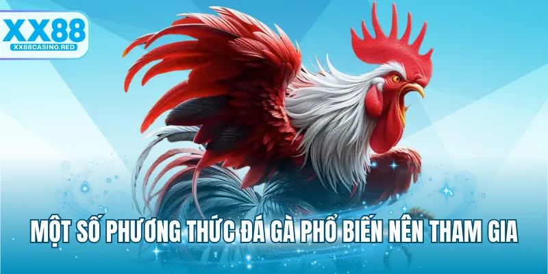 Đá Gà Online Và Những Kiểu Chơi Đá Gà Phổ Biến Hiện Nay 7 Một số phương thức đá gà phổ biến nên tham gia