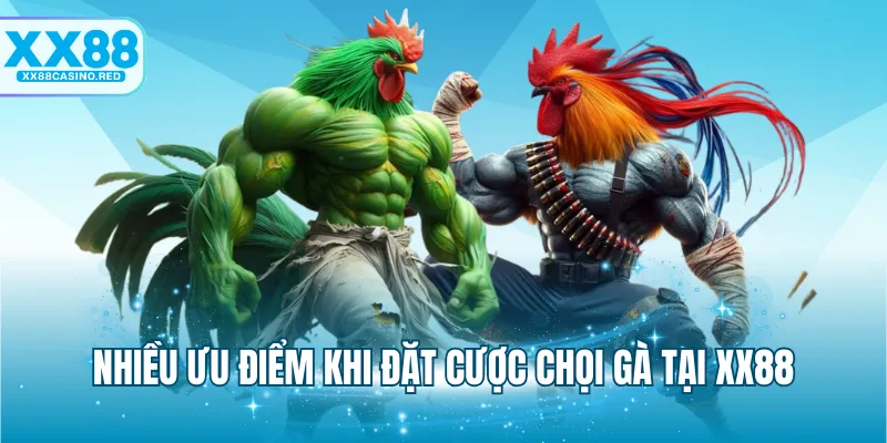 Đá gà XX88 6 Nhiều ưu điểm khi đặt cược chọi gà tại XX88